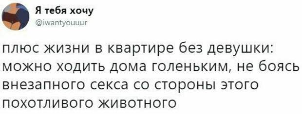 Беспробудное счастье холостяцкой жизни девушки, одиночество, отношения, прикол, свобода, холостяк, юмор
