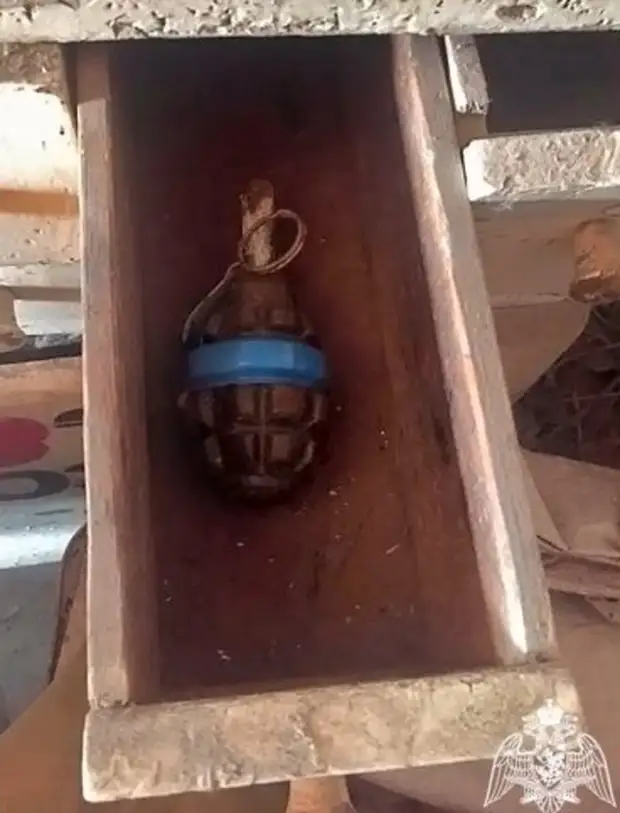 Боевую гранату и артиллерийский снаряд уничтожили в Оренбуржье