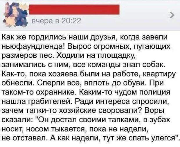 Шоб ви таки знали, я мозги не выношу, я просто проверяю их наличие