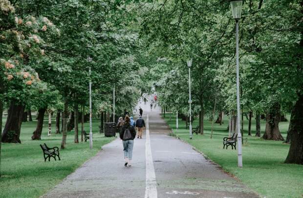 Парк «Кузьминки-Люблино» вновь открыли для посетителей