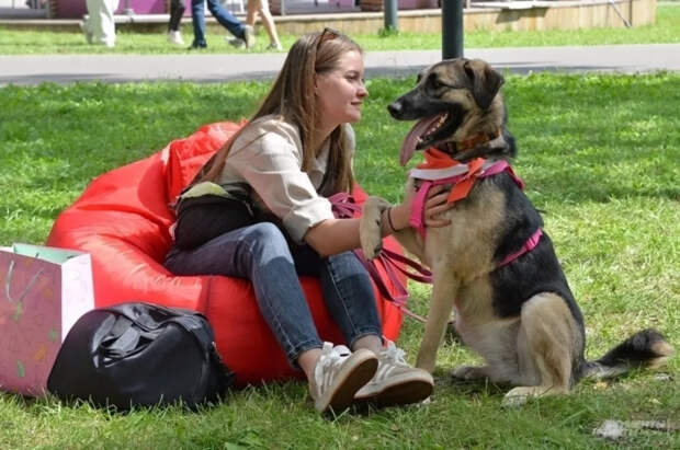 Nature: собака стала другом человека на 5 тысяч лет раньше, чем считалось