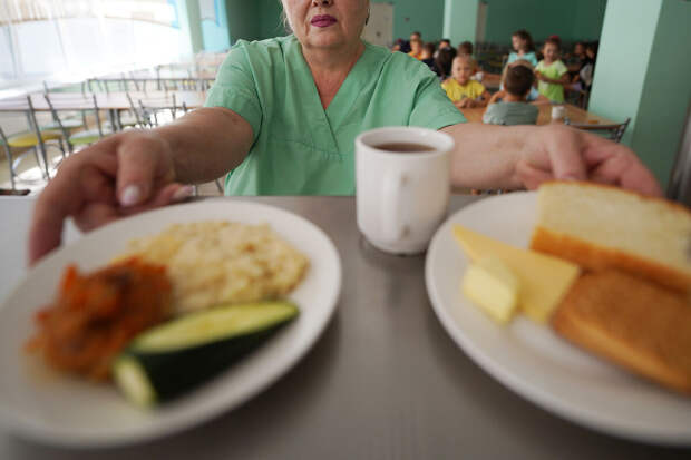 Депутаты Миронов и Лантратова призвали сделать бесплатным все питание в школах