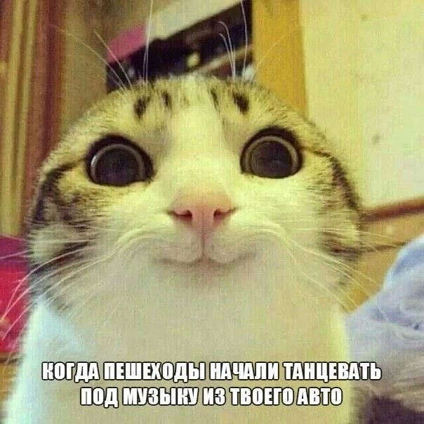 Свежие автоприколы