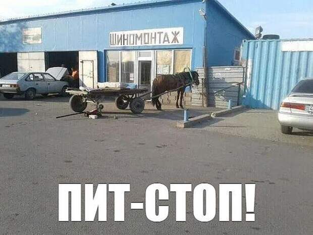 Свежие картинки с надписями для просмотра (вторник)