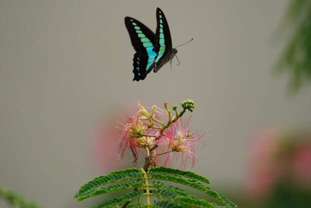 Есть только миг между прошлым и будущем... Есть только миг между прошлым и будущем...