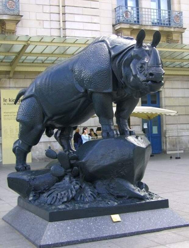 Носорог из Парижа.
