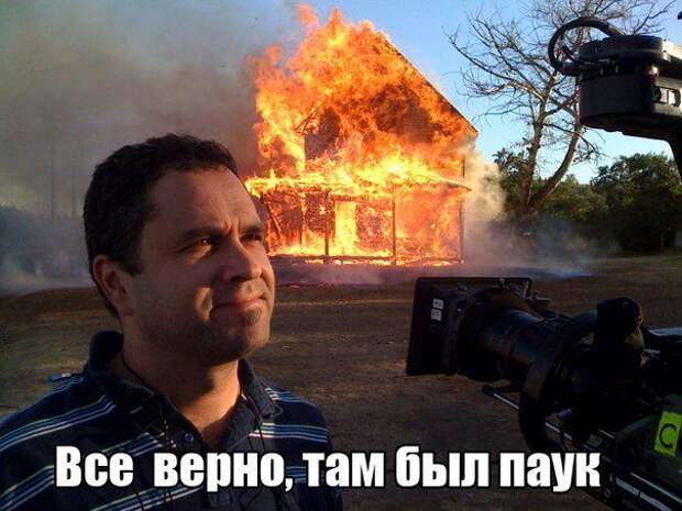 Смешные картинки с подписями  юмор, картинки, прикол