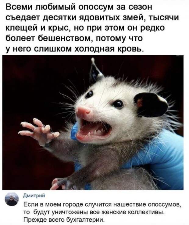 1603998230_13.jpg
