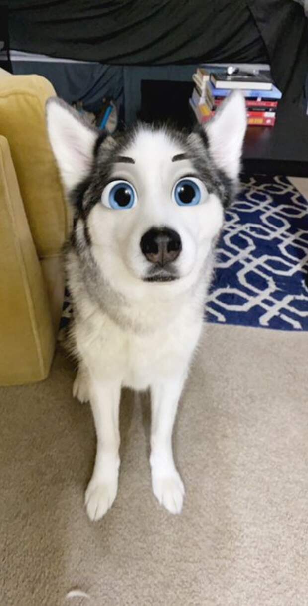 Мультяшные фильтры Snapchat