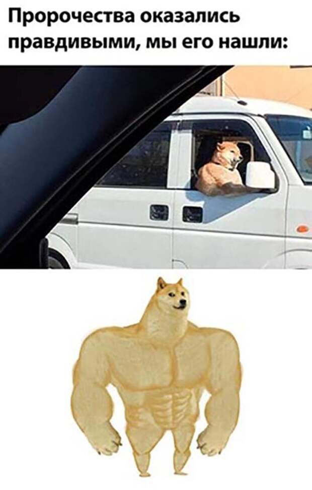 Мы его нашли ) Мы его нашли )