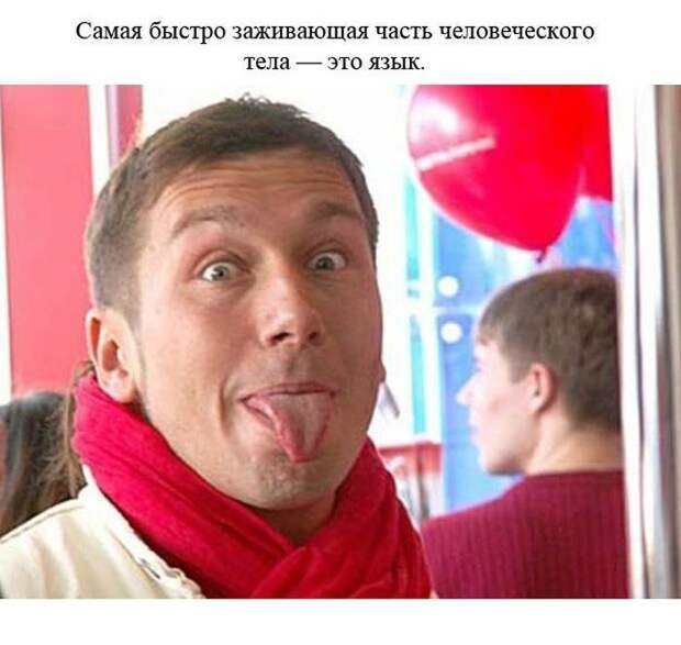 Познавательные и забавные факты (24 фото) Познавательные и забавные факты (24 фото)