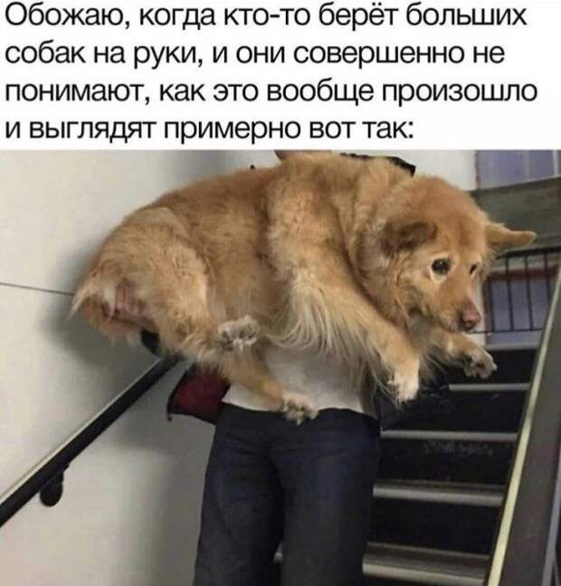 1603998161_8.jpg