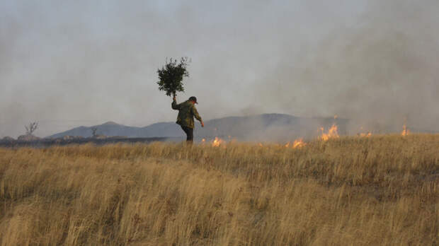 Степной пожар под Астаной полностью ликвидировали на седьмые сутки