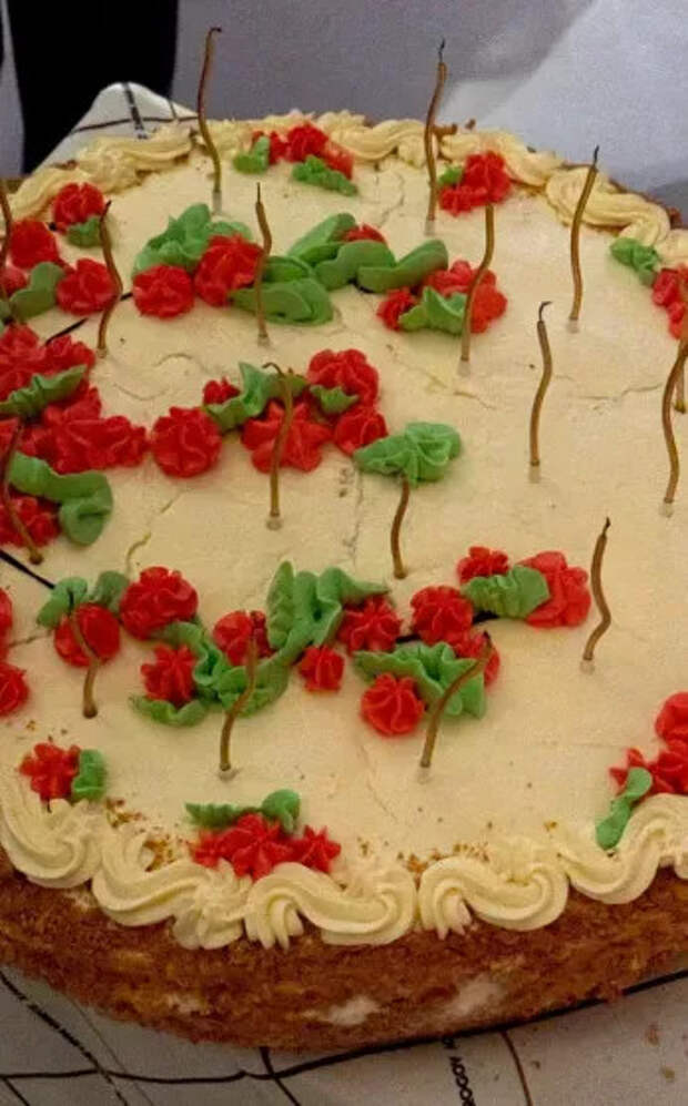 Ужин Rogov x Zarina