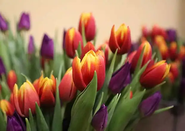 В штабе общевойсковой армии ВВО в Чите состоялось торжественное собрание посвященное празднованию Международного женского дня