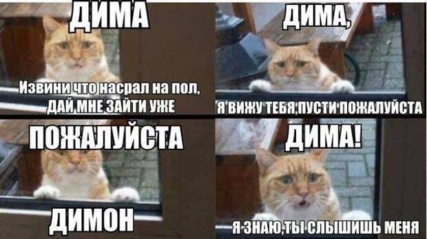 Смешные картинки с подписями  юмор, картинки, прикол