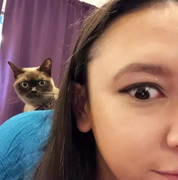 c1801b420b7e004338eb359df634543e.jpeg