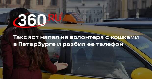 Бастрыкин поручил завести дело из-за нападения таксиста на пассажирку с котами