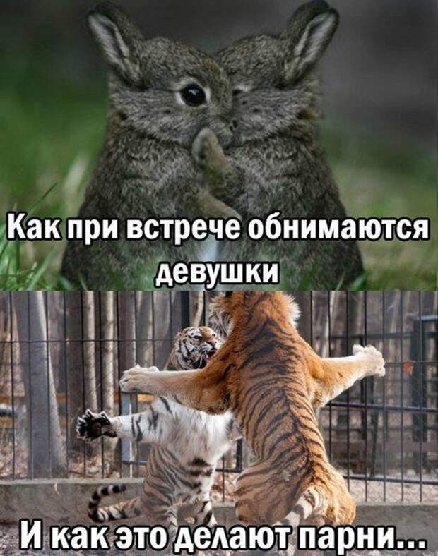 Смешные картинки с подписями  юмор, картинки, прикол