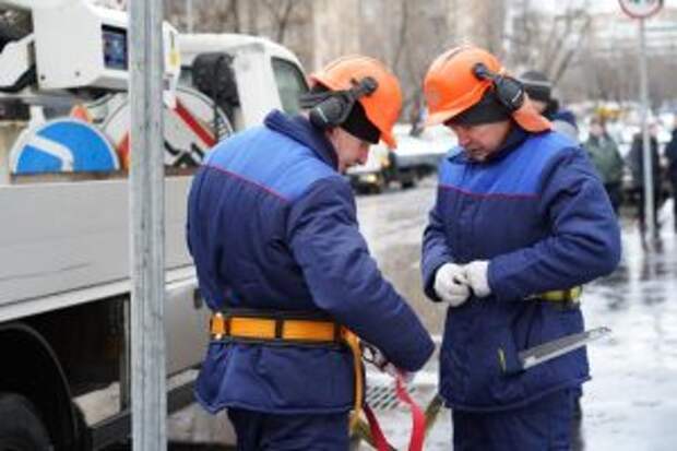 Деревья во дворах района подготовят к весне. Фото: Денис Кондратьев