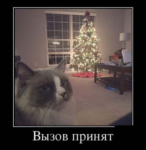 Демотиваторы (30 фото)