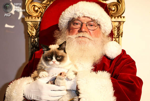 США. Лос-Анджелес, Калифорния. 10 декабря. Соус Тардар во время фотосессии с Санта-Клаусом. (Bret Hartman/AP Images for Friskies)
