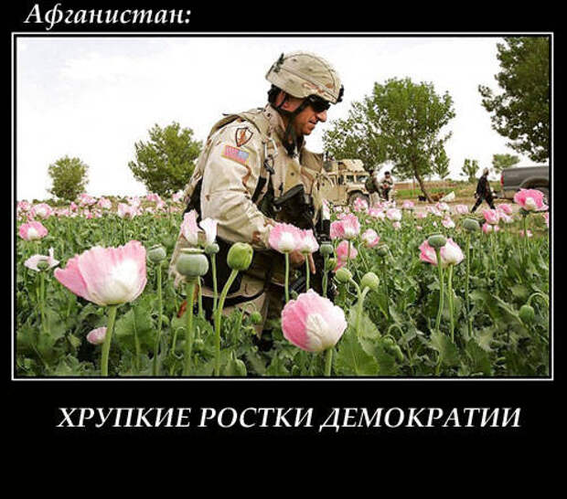 Норвежский взгляд: Россия в мусульманском мире