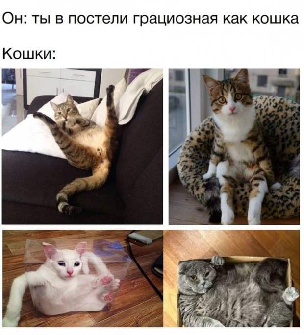Мемы и приколы про отношения и &quot;кое-что еще&quot;
