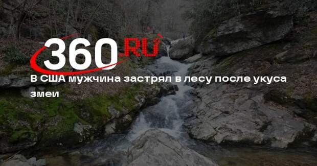 В США мужчина застрял в лесу после укуса змеи