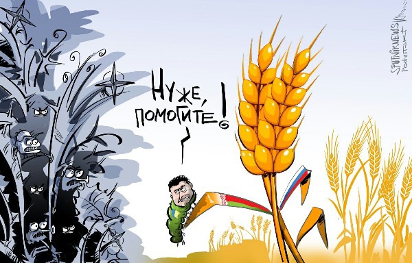 Украинская мечта об американских «котиках»