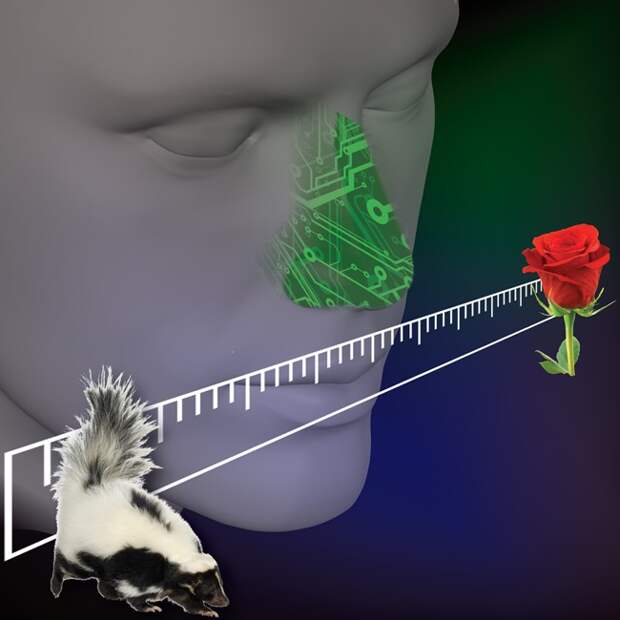 E-nose E-nose. Электронный нос анализирует шкалу запахов.