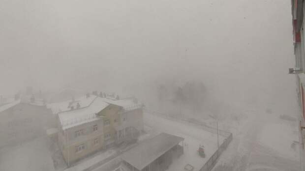 На Барнаул обрушилась снежная буря. Видео