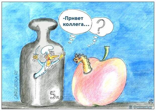 Карикатуры из жизни 19