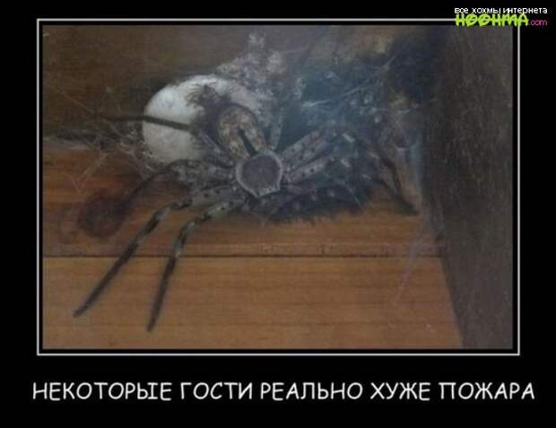 Веселые демотиваторы