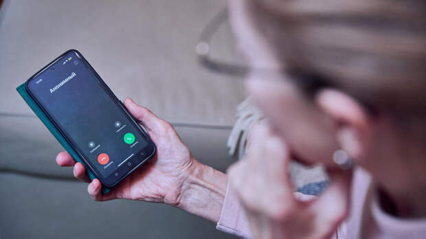 МВД: россияне стали чаще распознавать уловки мошенников