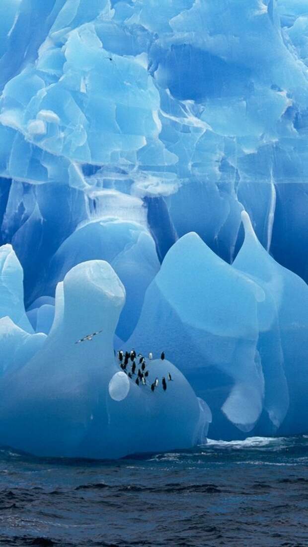 Льды Антарктиды земля, красота, невероятное, пейзажи, природа, фантастика, фотомир