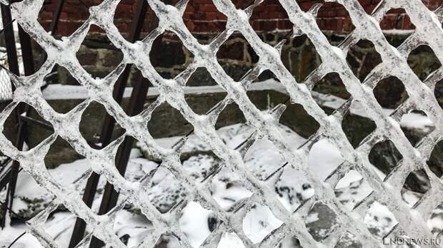 В Челябинске несколько горожан заперли на ночь в парке