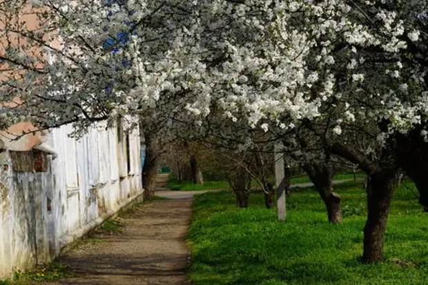 На Кубани в ближайшие дни потеплеет до 29 градусов