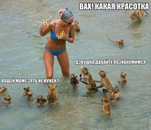 Всяко разно.