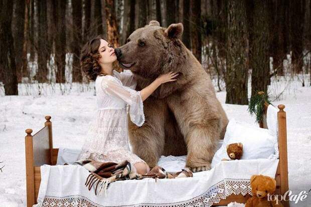 Удивительные фотографии медведей