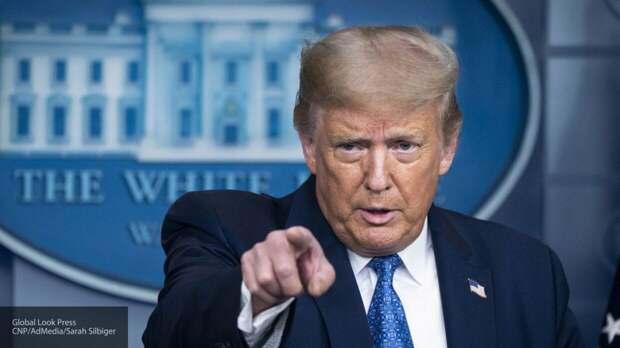 Нейросеть российских разработчиков предрекла победу Трампа на выборах США