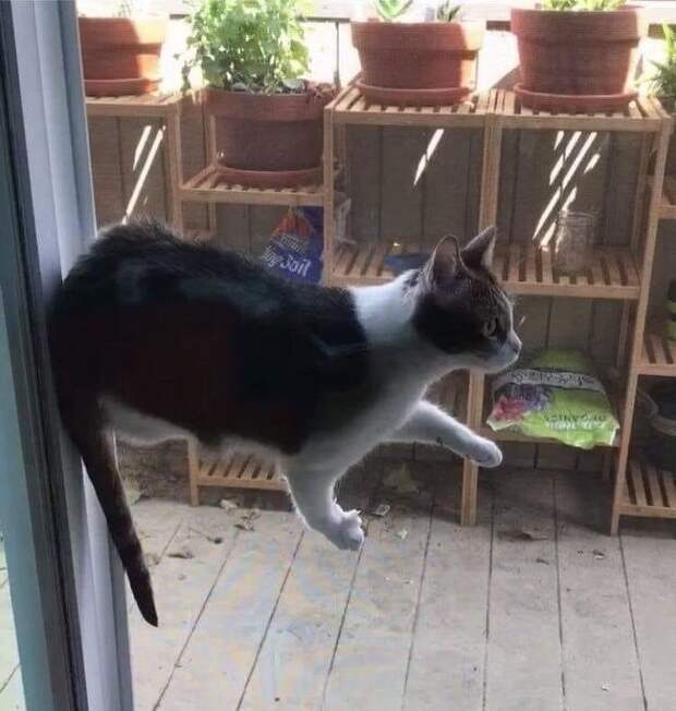 13 фото, которые сводят с ума, пока не поймешь, что на них изображено