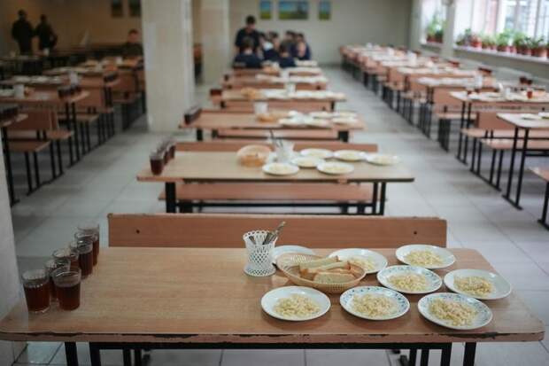 Более 90 человек пострадали из-за вспышки кишечной инфекции в школе в Петербурге