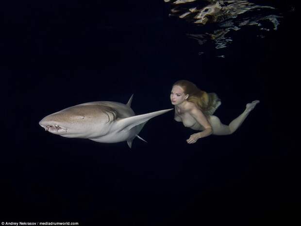 Обнаженная фотосессия с акулами