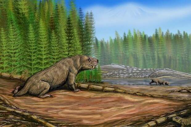 Нотогомфодон (лат. Nothogomphodon)