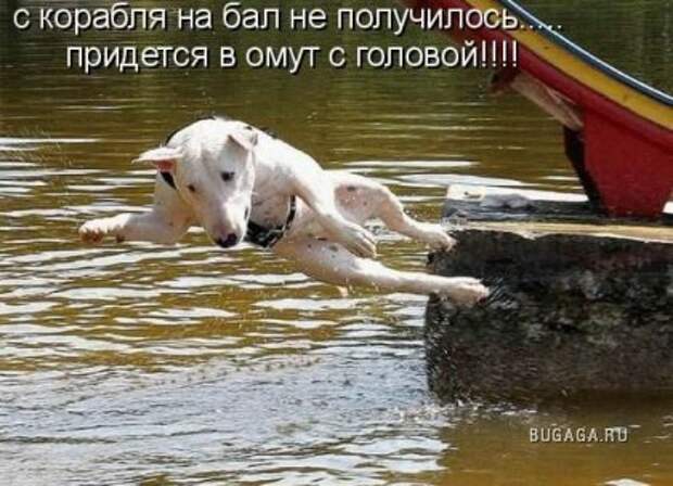 Веселая подборка (10 фото)