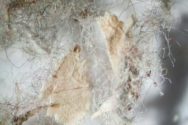 домашняя пыль под микроскопом