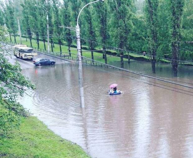 Прикольные картинки