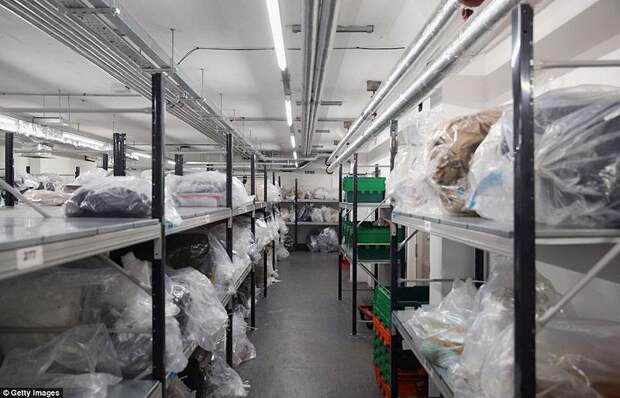 Разнообразие конфискованной контрабанды в аэропорту Лондона аэропорт, контрабанда, конфискация, Лондон, таможня