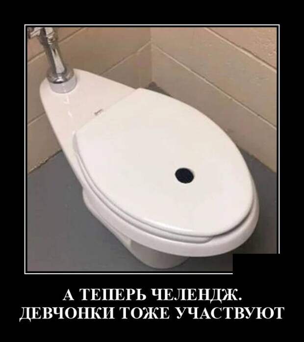 Демотиваторы 19 августа 2020